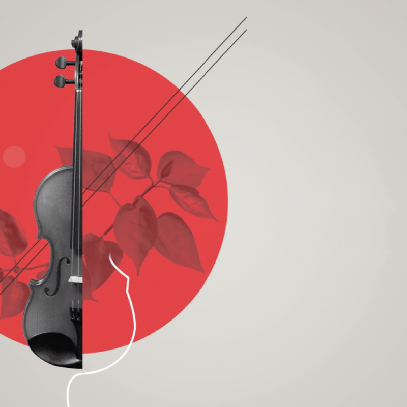 visual_port_Zeichenfläche 1